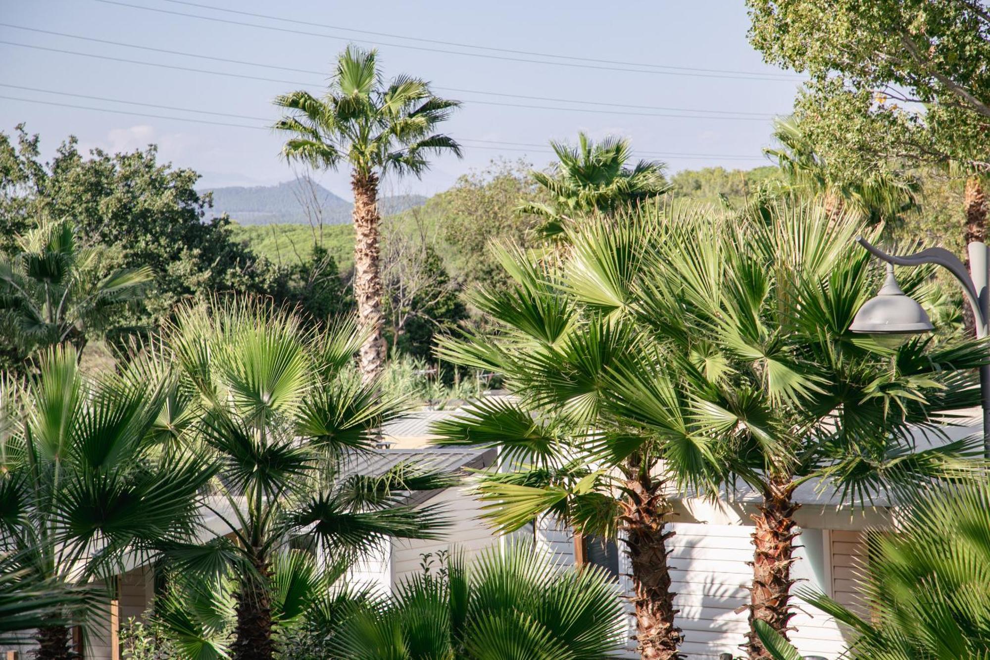 Camping Site De Gorge Vent Frejus Luaran gambar